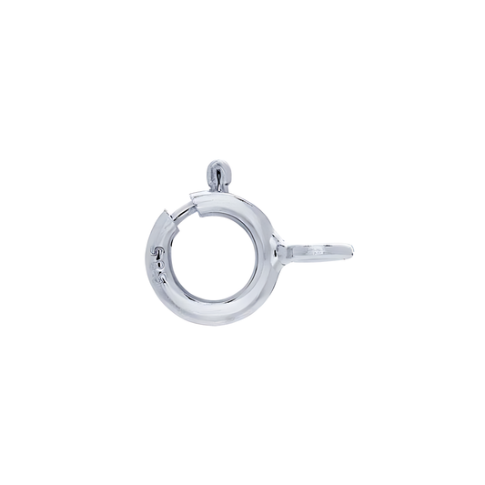 Plata Broche Argolla